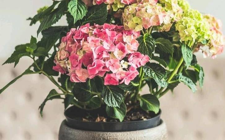 自媒体社群运营方案(自媒体社群运营工作内容) 自媒体社群运营方案(自媒体社群运营工作内容)