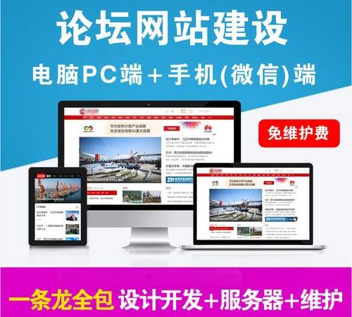 二类电商投放技巧（做二类电商投放哪些平台好）